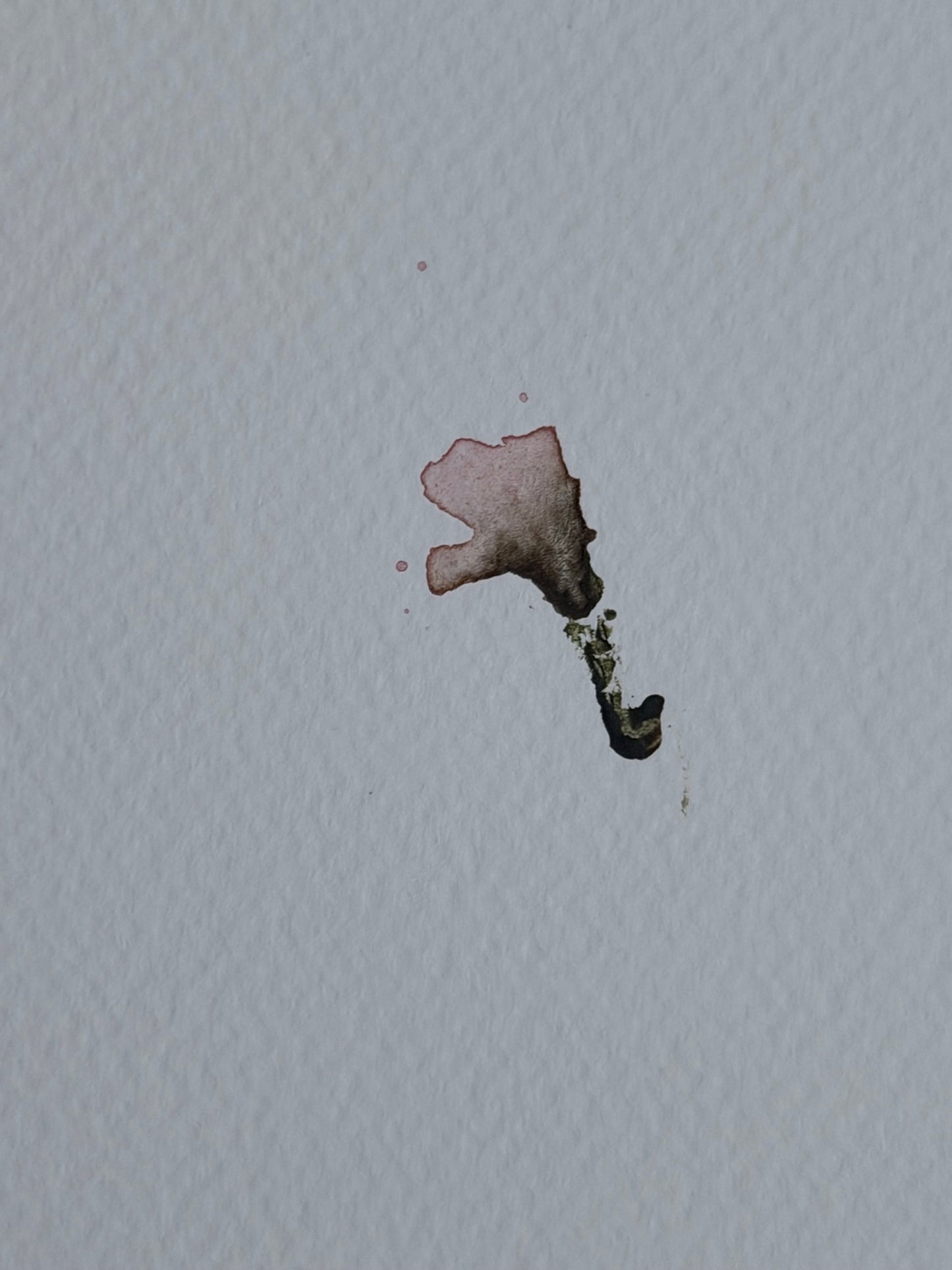 The Language of Flowers: Observation 6