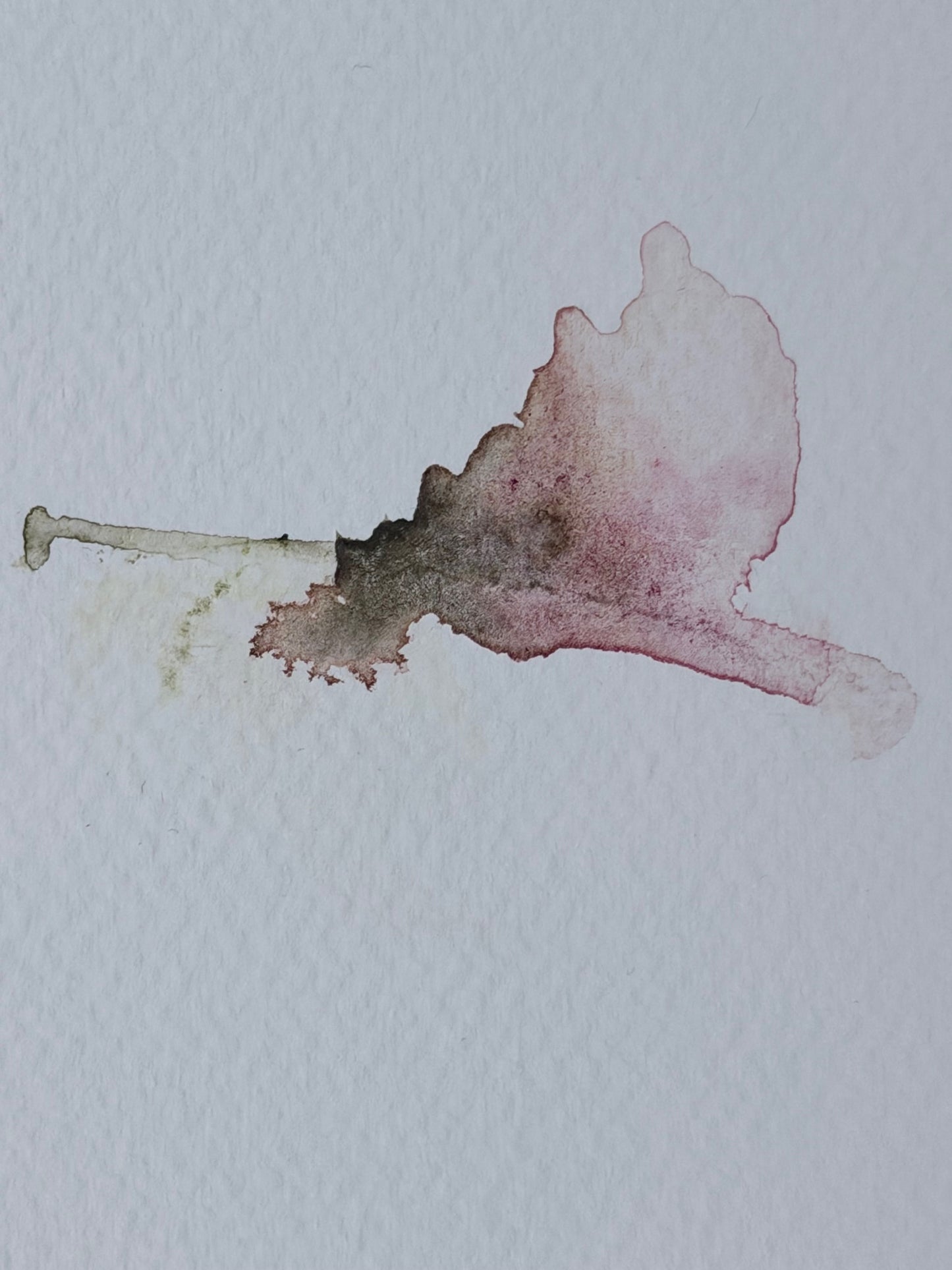 The Language of Flowers: Observation 6
