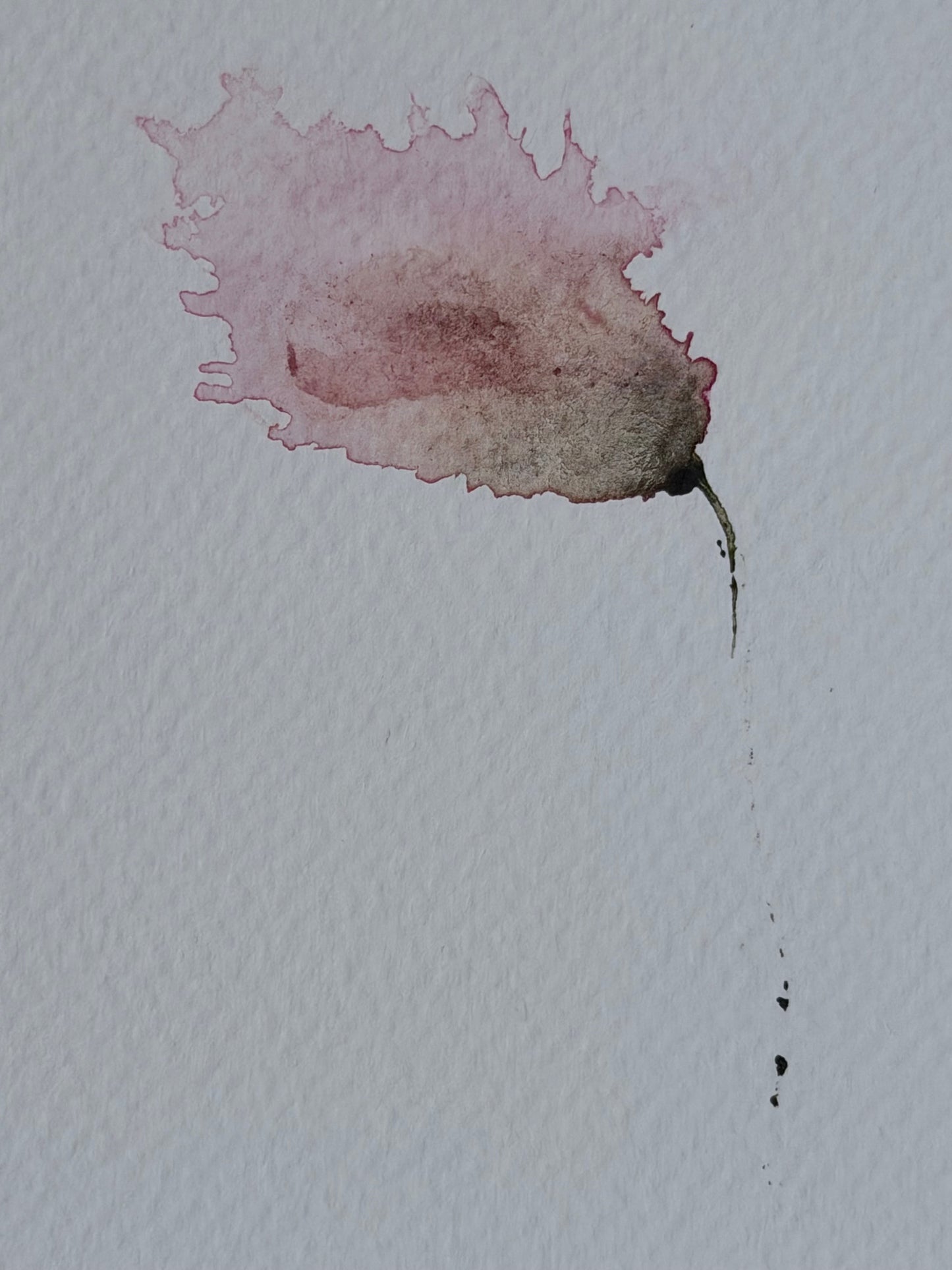 The Language of Flowers: Observation 6