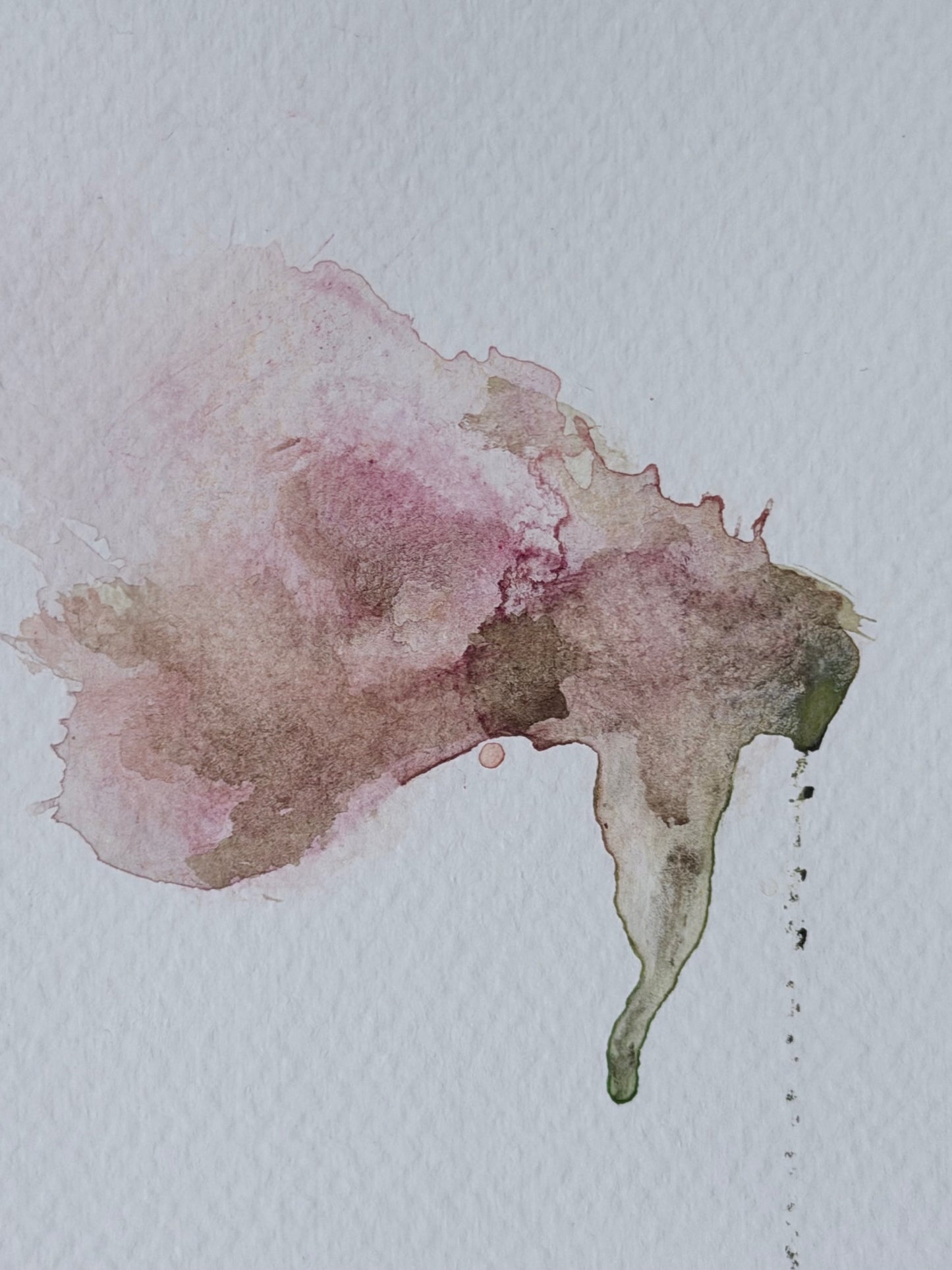 The Language of Flowers: Observation 6