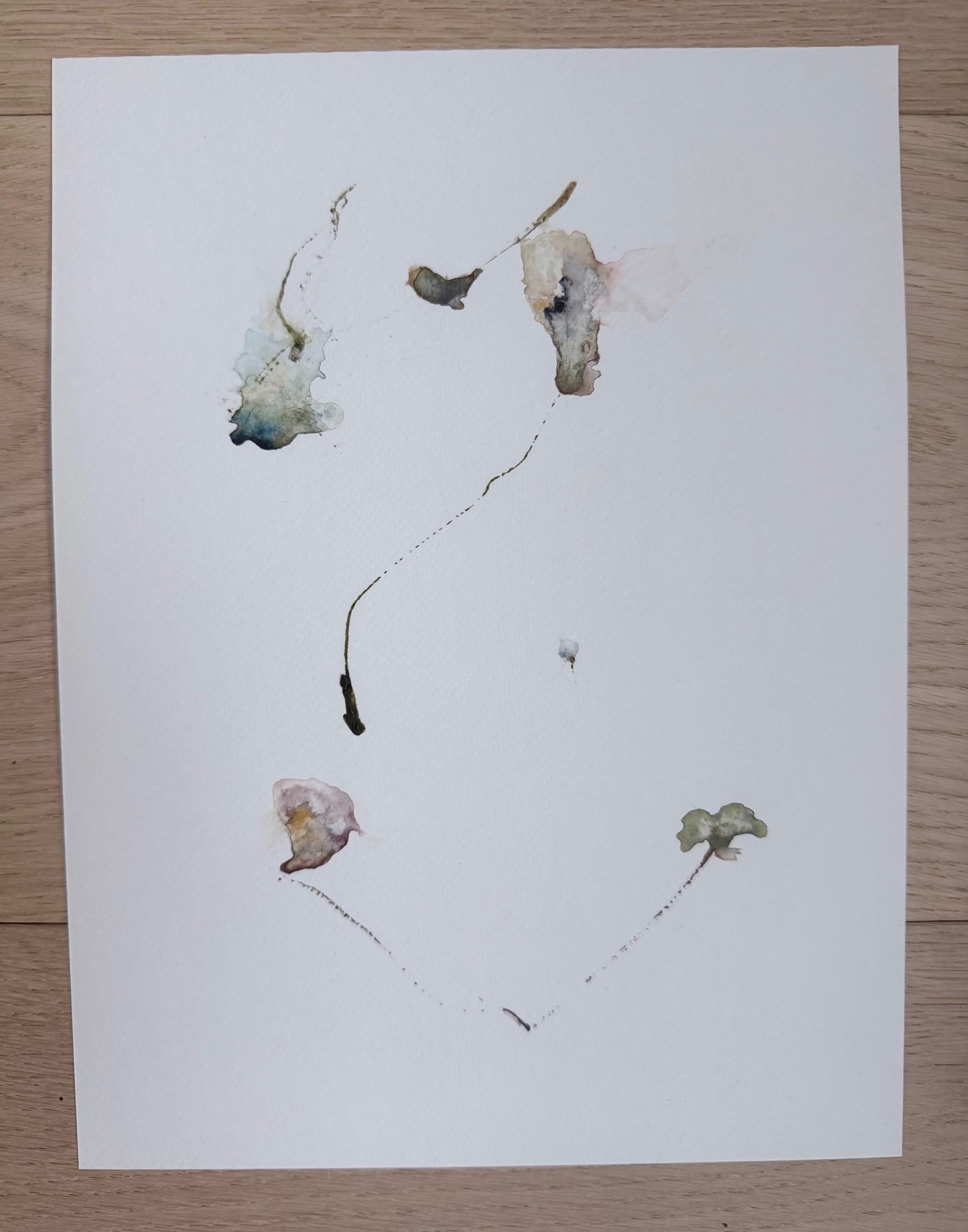 The Language of Flowers: Observation 15