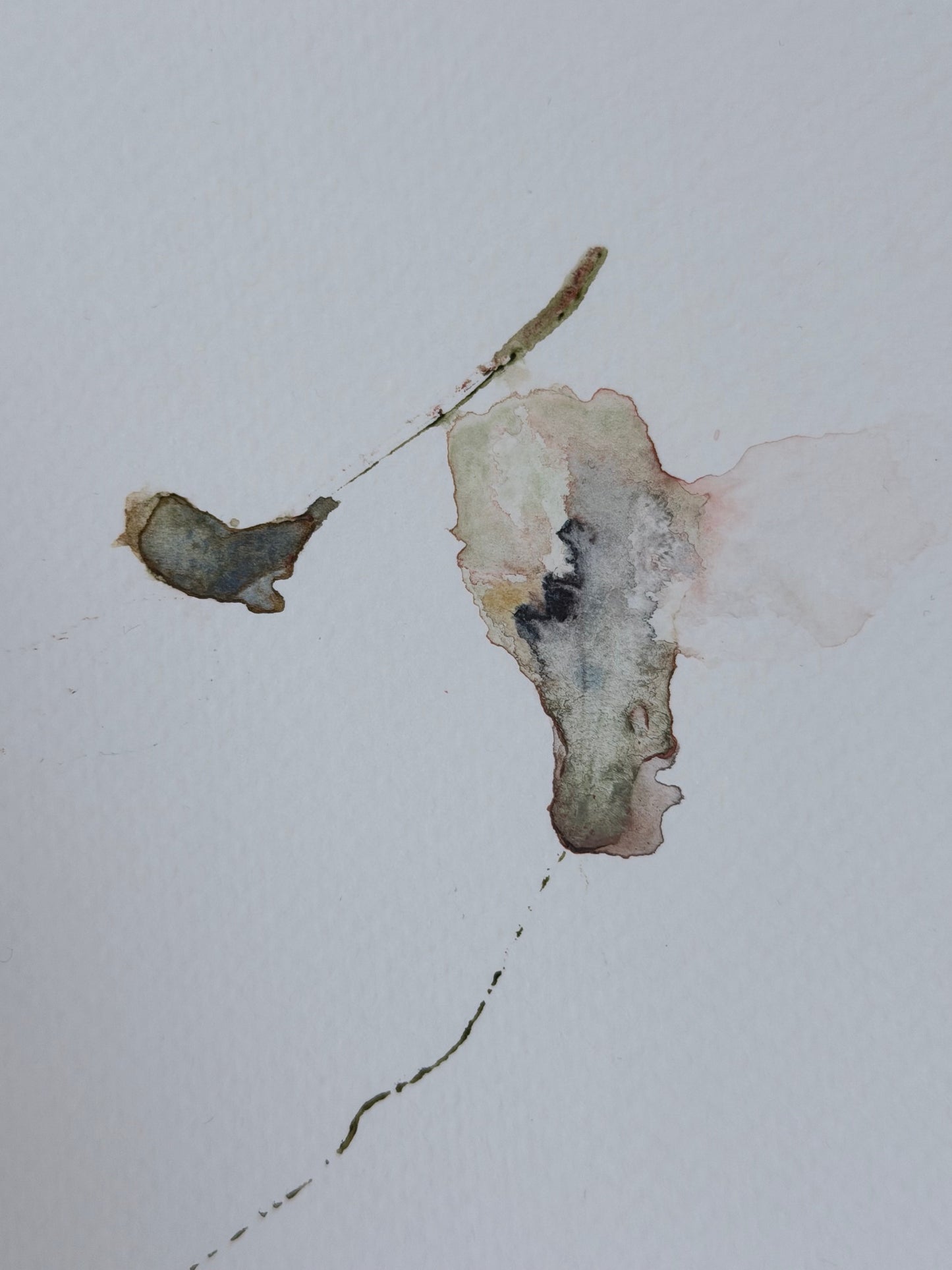 The Language of Flowers: Observation 15