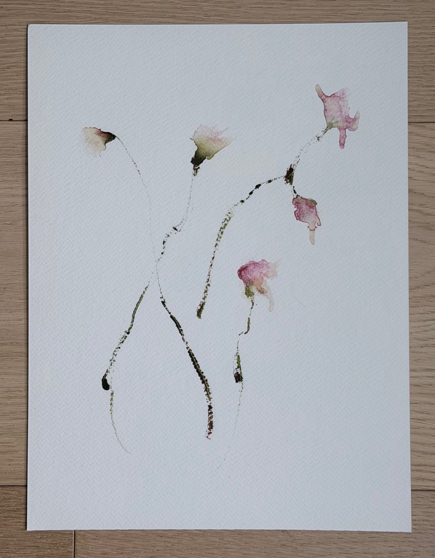The Language of Flowers: Observation 13