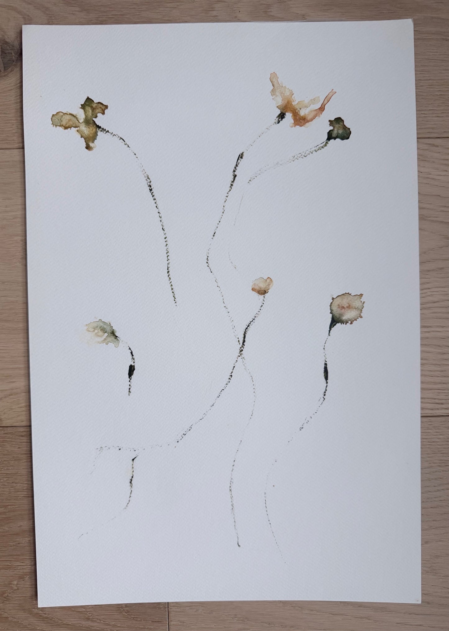 The Language of Flowers: Observation 16