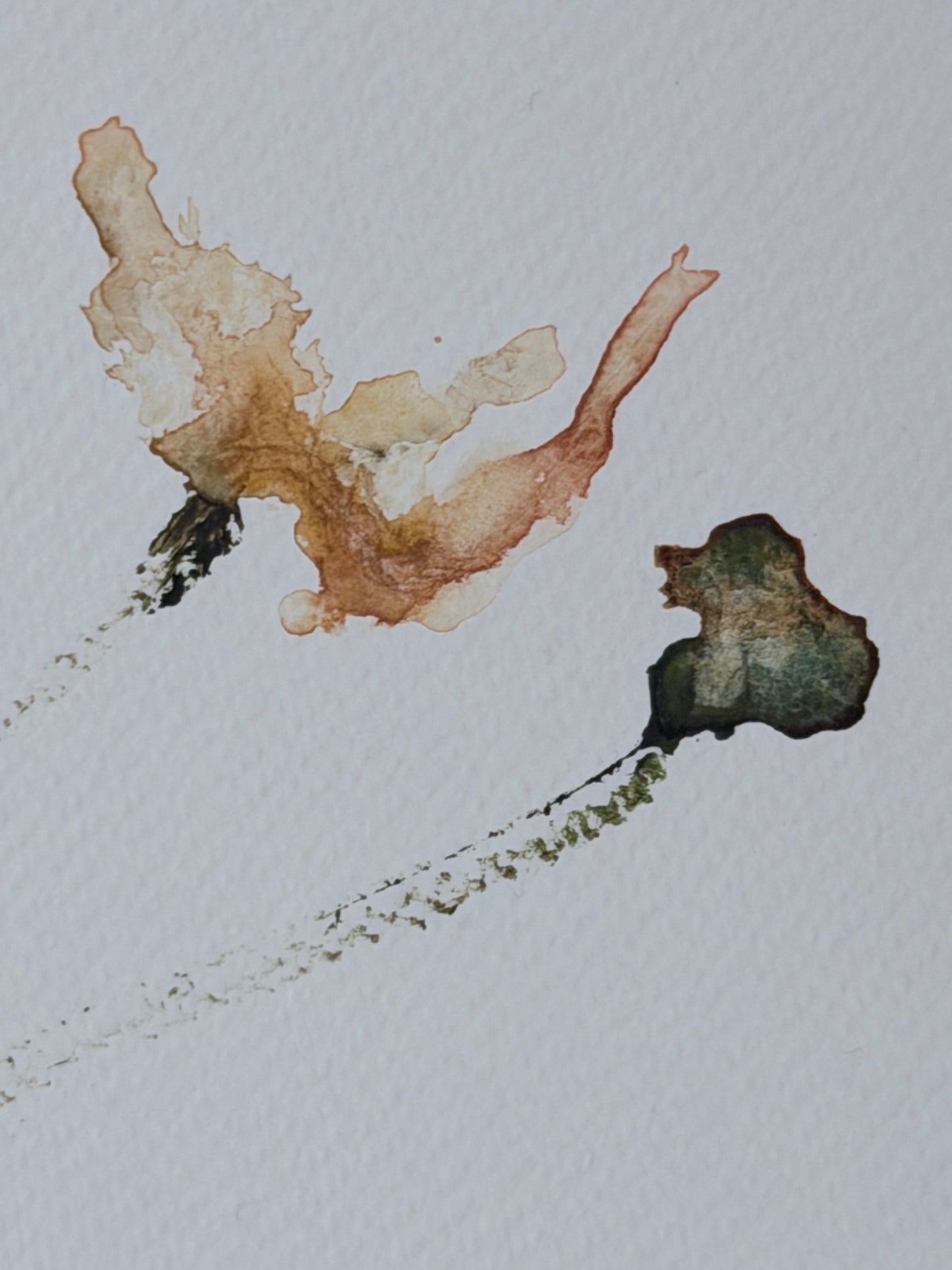 The Language of Flowers: Observation 16
