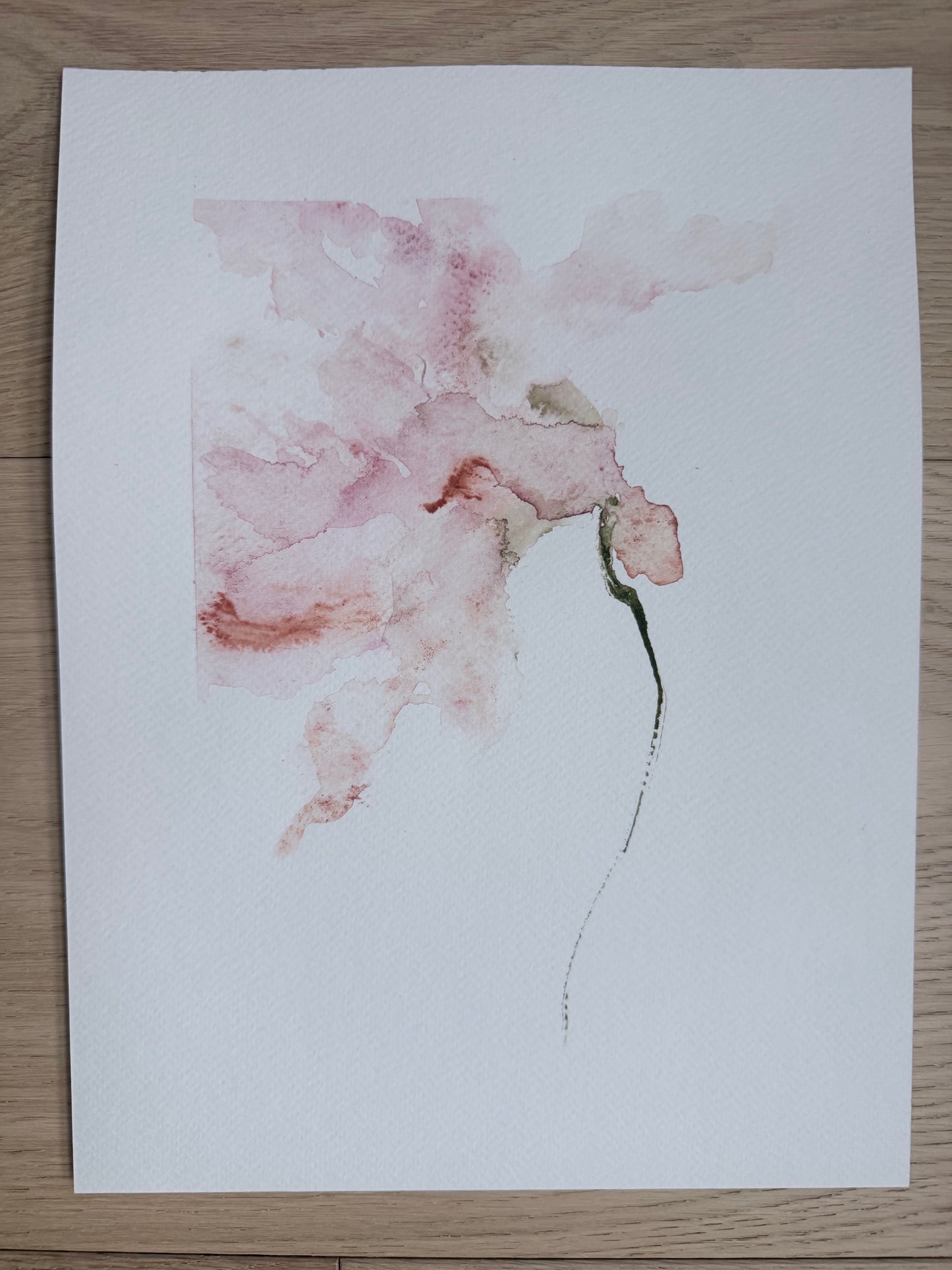 The Language of Flowers: Observation 14
