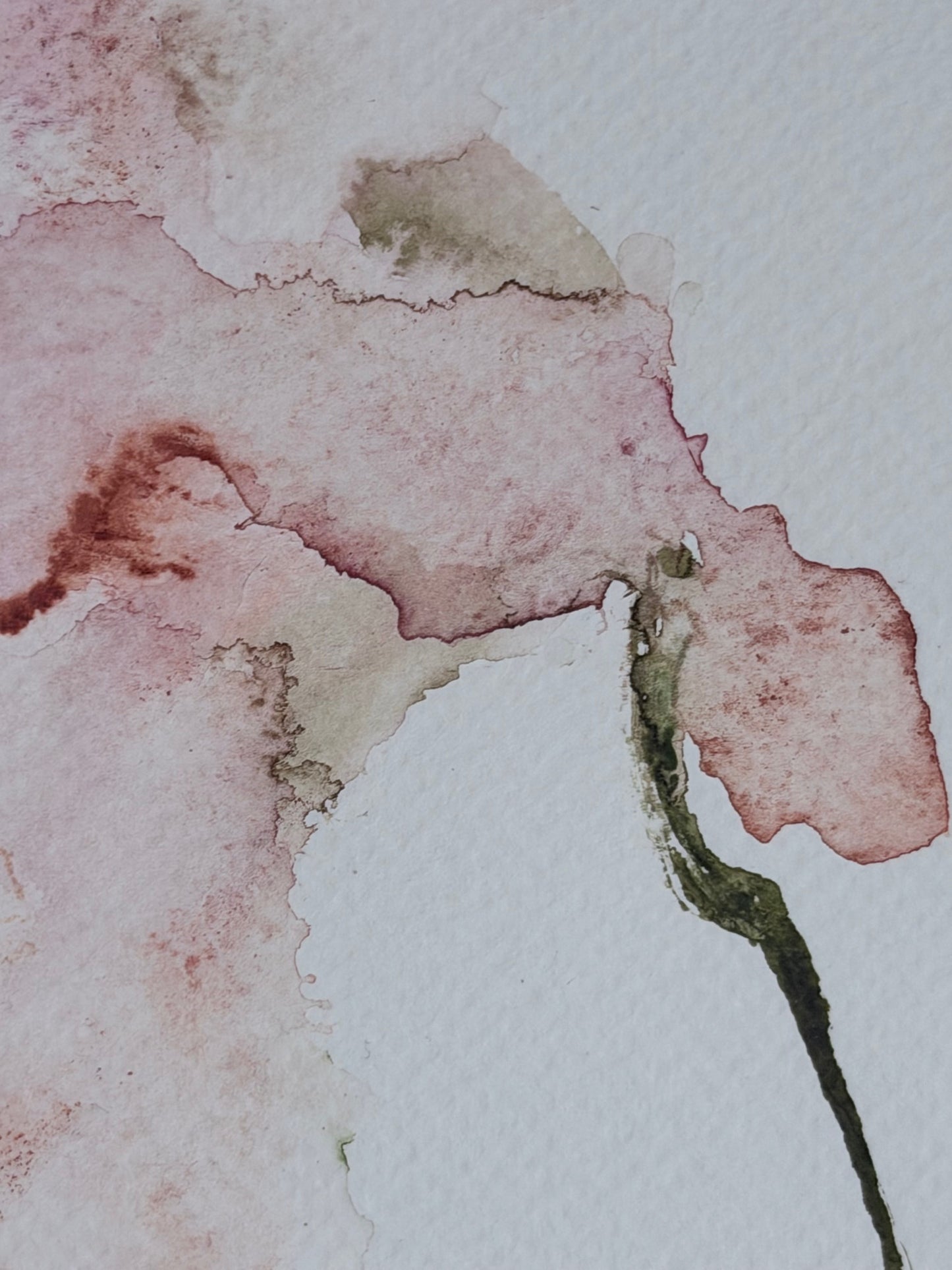 The Language of Flowers: Observation 14