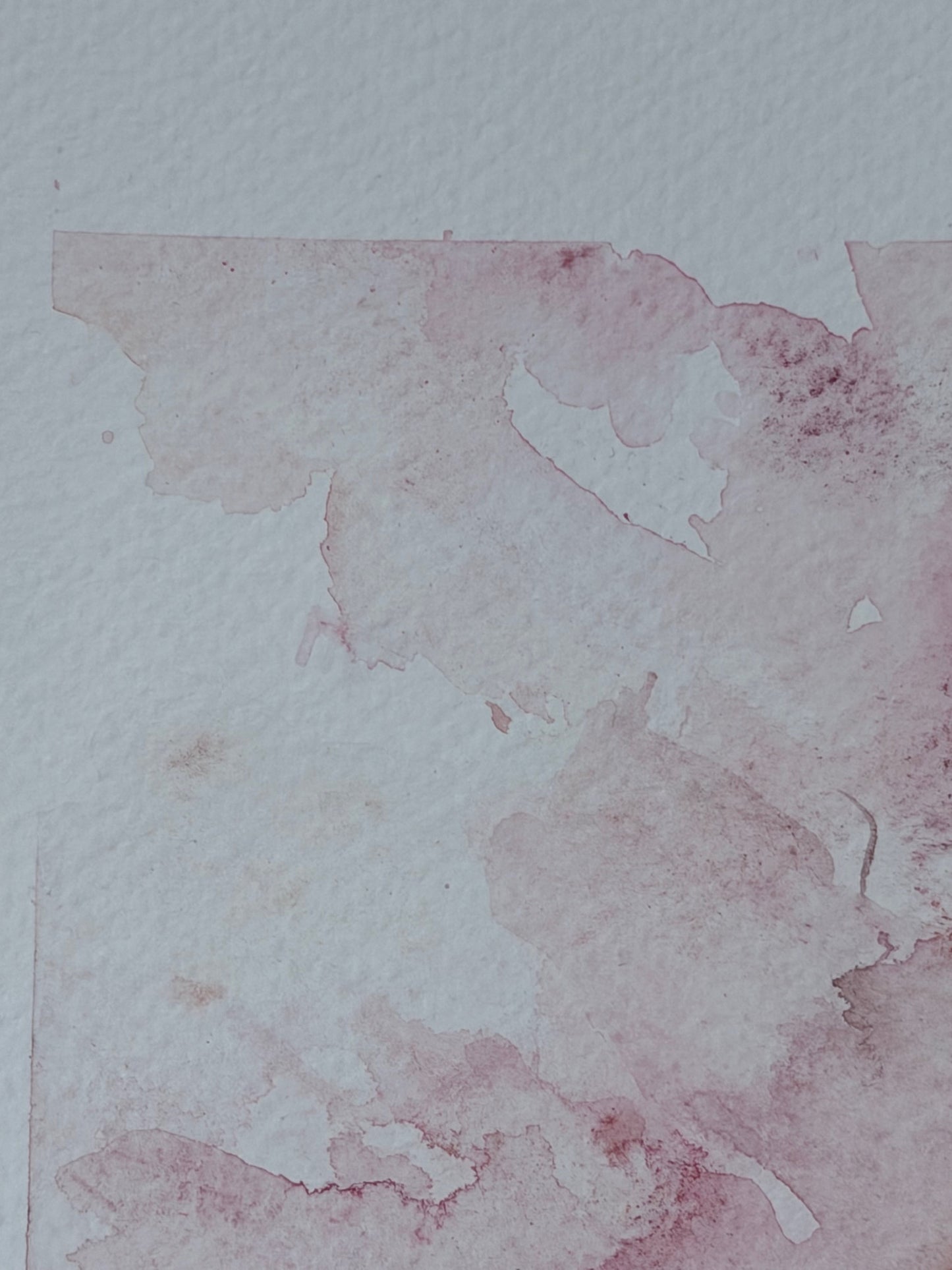 The Language of Flowers: Observation 14