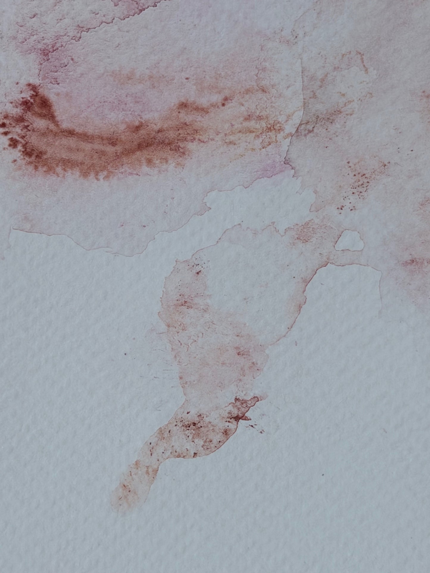 The Language of Flowers: Observation 14