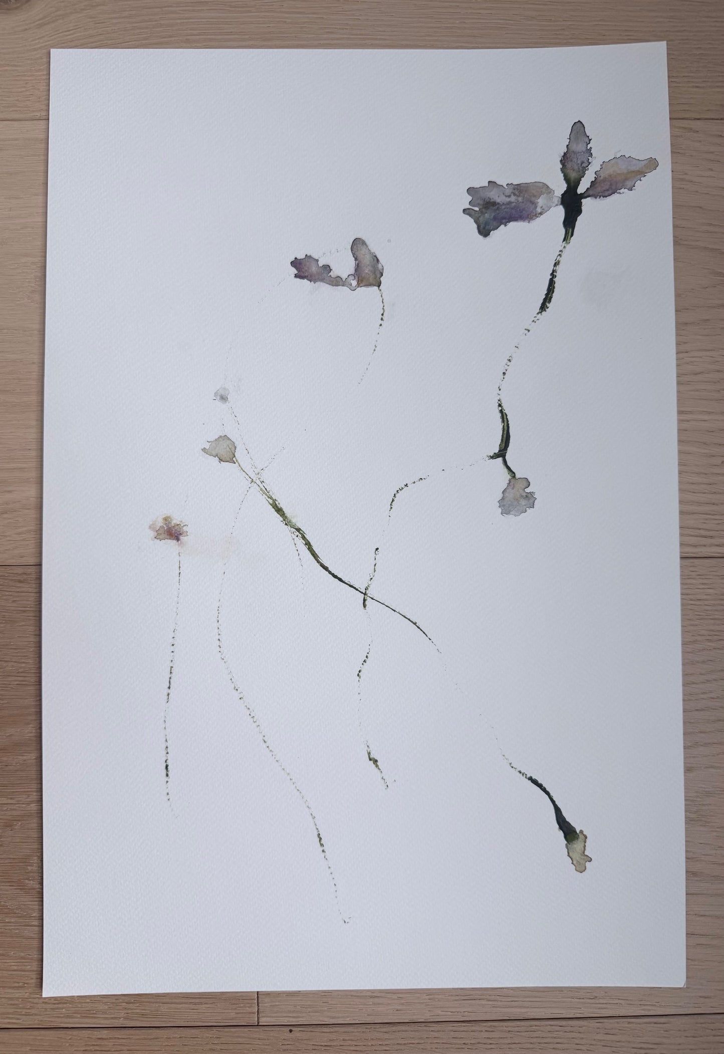 The Language of Flowers: Observation 12