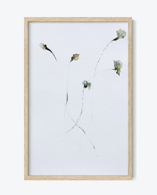 The Language of Flowers: Observation 10