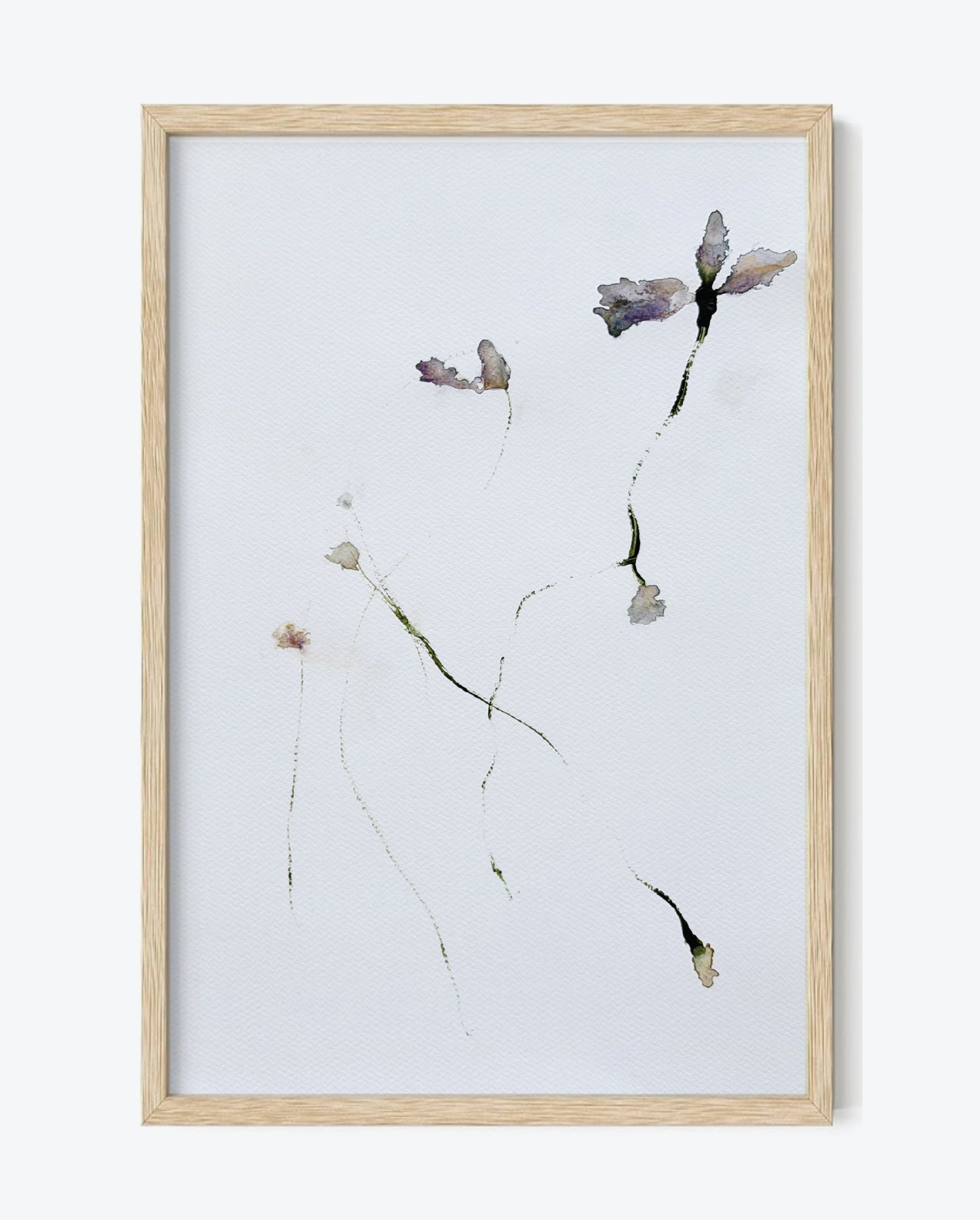 The Language of Flowers: Observation 12