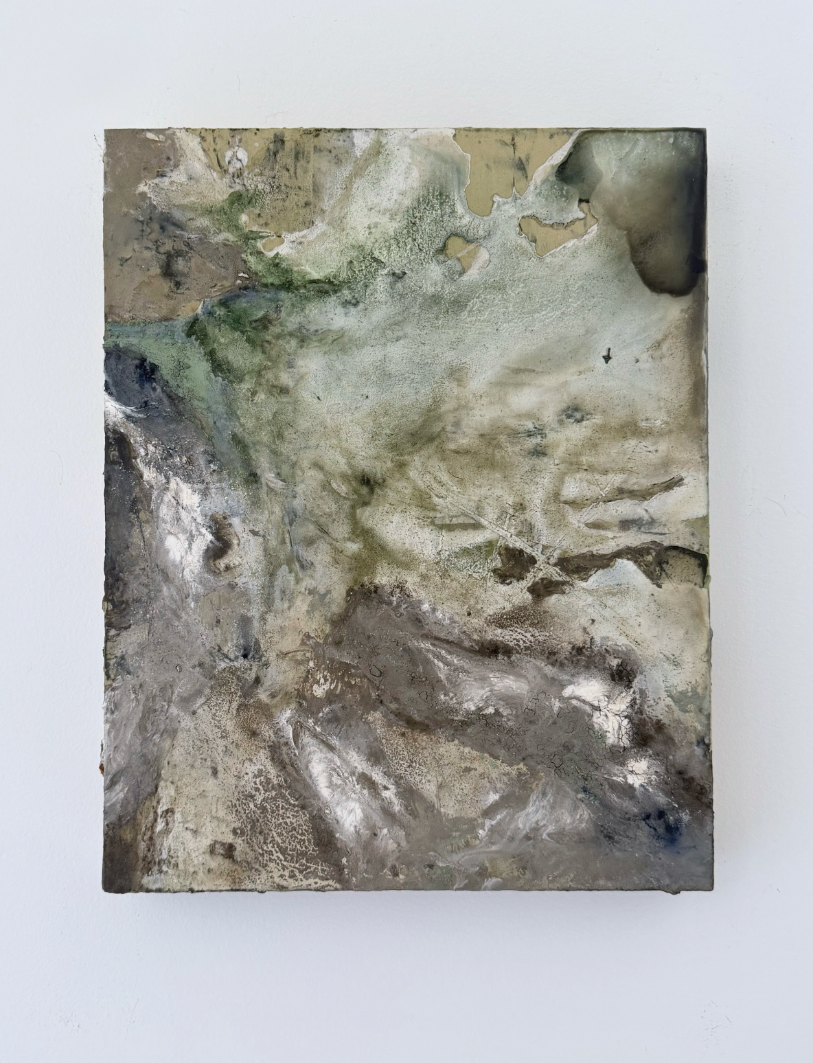 Nature Becomes Me: Deposit 3