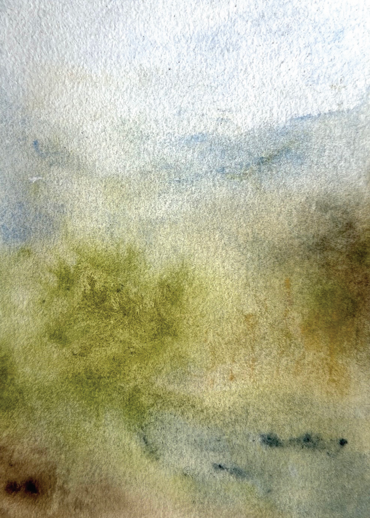 The Subtleties of Nature - Softening 2