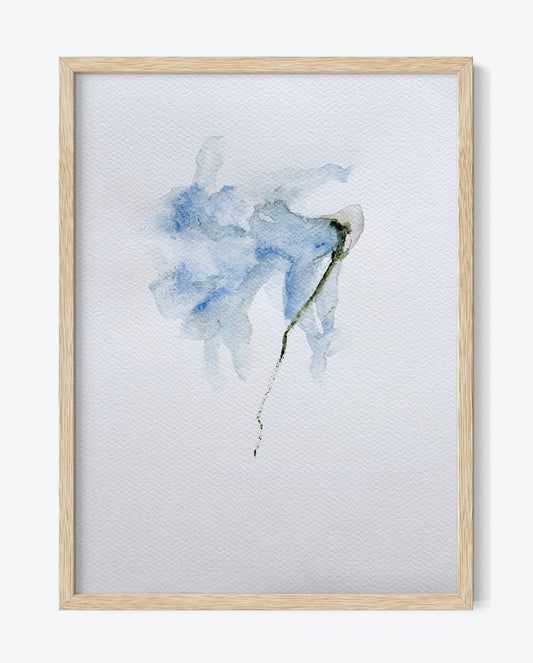 The Language of Flowers: Observation 13