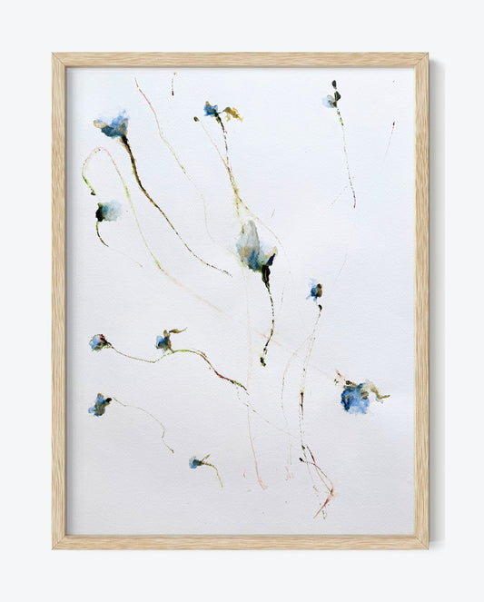 The Language of Flowers: Observation 1