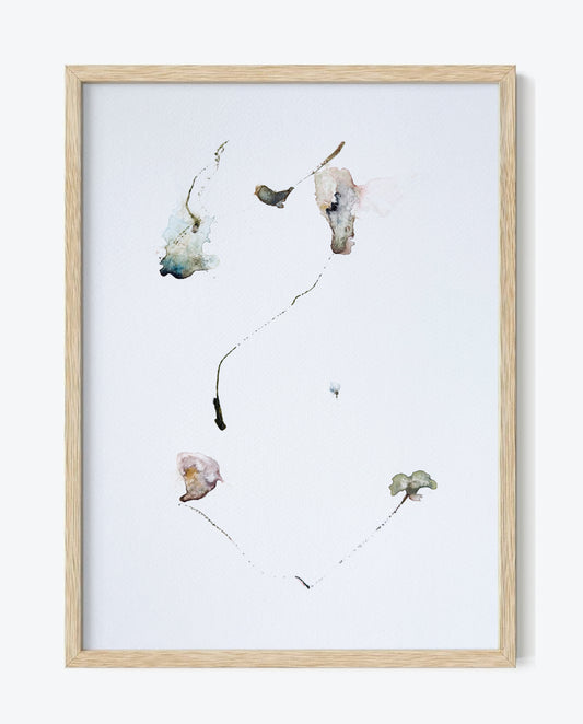 The Language of Flowers: Observation 15