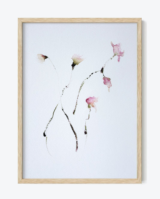 The Language of Flowers: Observation 13