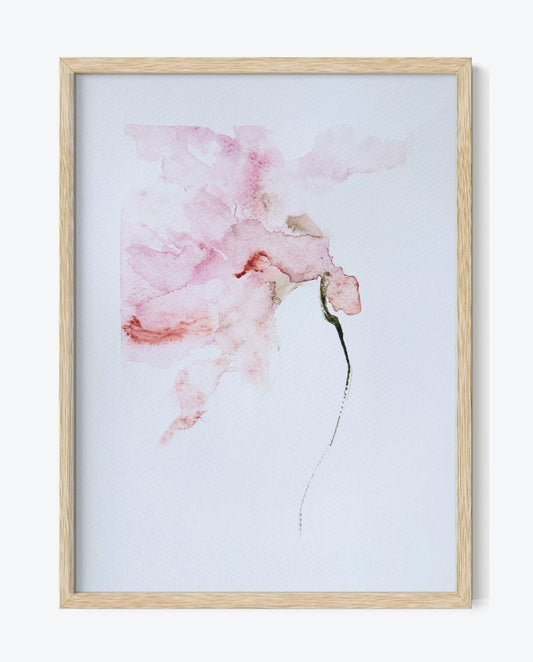 The Language of Flowers: Observation 14
