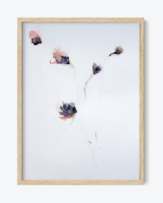The Language of Flowers: Observation 16